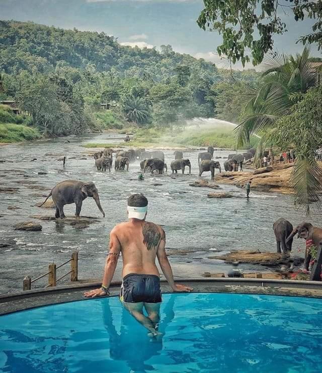 Hotel Elephant Bay Pinnawala  Extérieur photo