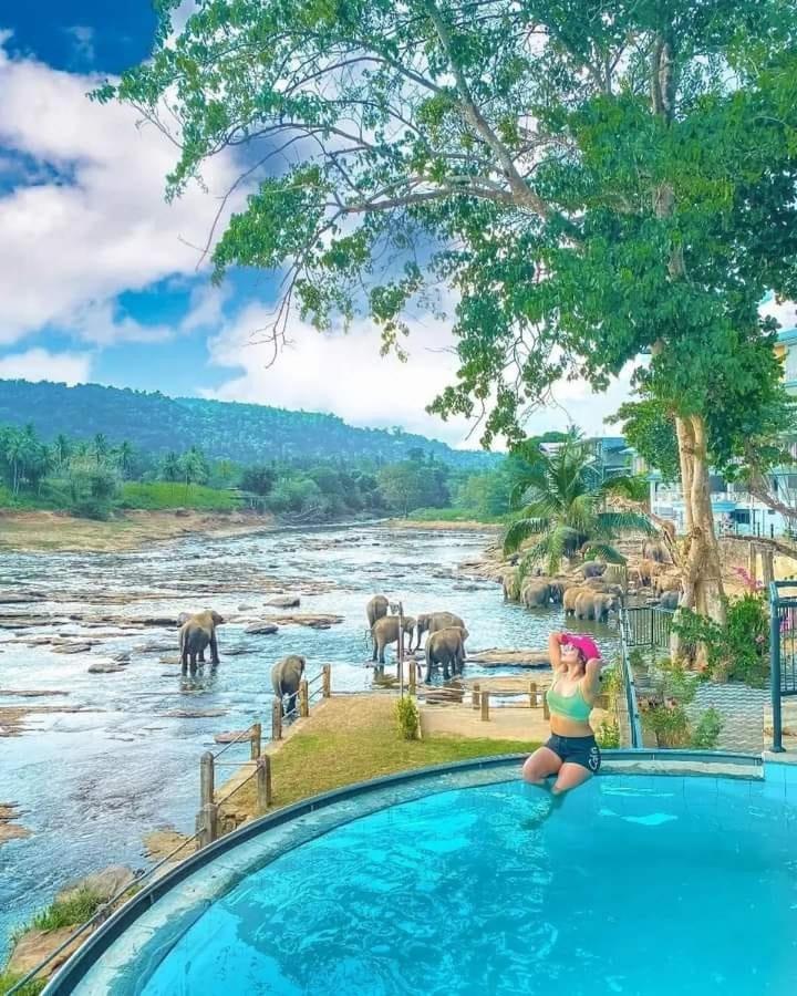 Hotel Elephant Bay Pinnawala  Extérieur photo