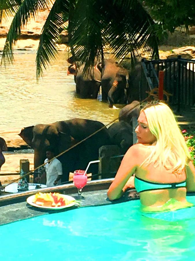 Hotel Elephant Bay Pinnawala  Extérieur photo